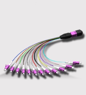 MTP-12LC-fanout-violet