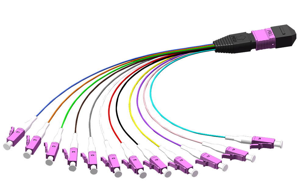 MTP-12LC-fanout-violet