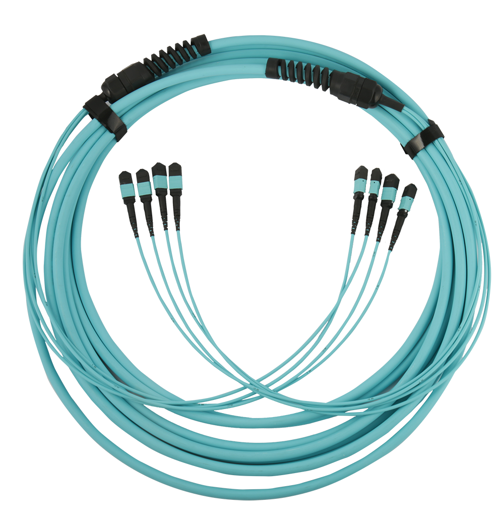 48 fiber MTP-MTP trunk cable