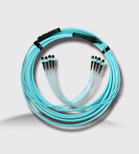 48 fiber MTP-MTP trunk cable