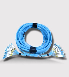 8xLC DX-8xLC DX in a bundle