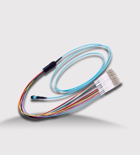 MTP-12LC patchcord