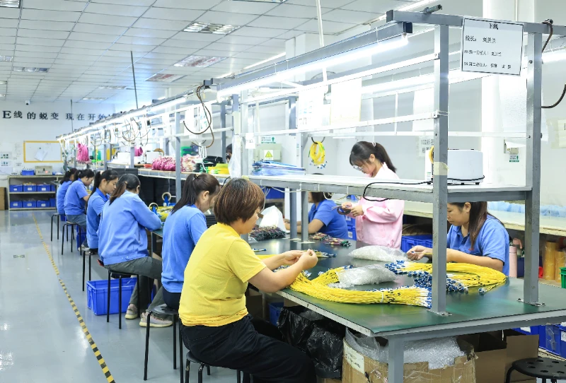 Workshop for package