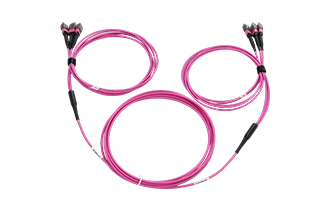 24 Fiber 3xMTP- 3xMTP trunk cable