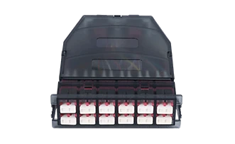 24 Fiber MTP-12 LC duplex Plastic Module