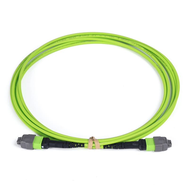 12 Fiber MTP Patchcord OM5