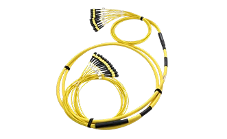 144 Fiber MTP Trunk Cable