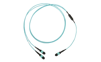 MTP Y cable