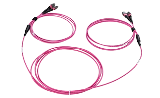 24 Fiber 2xMTP- 2xMTP trunk cable