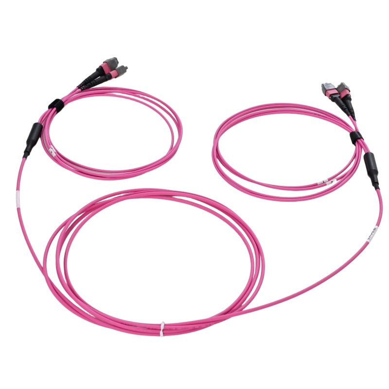 24 Fiber 2xMTP- 2xMTP trunk cable